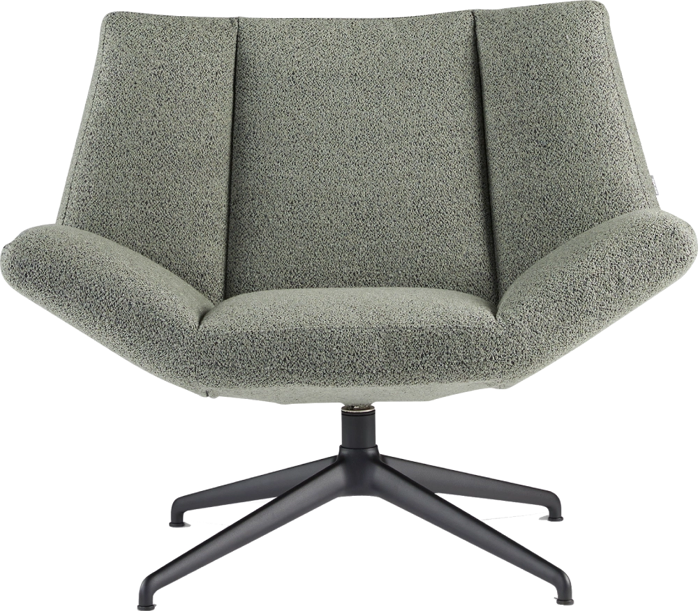 Fauteuil Aiden laag Dyyk 5
