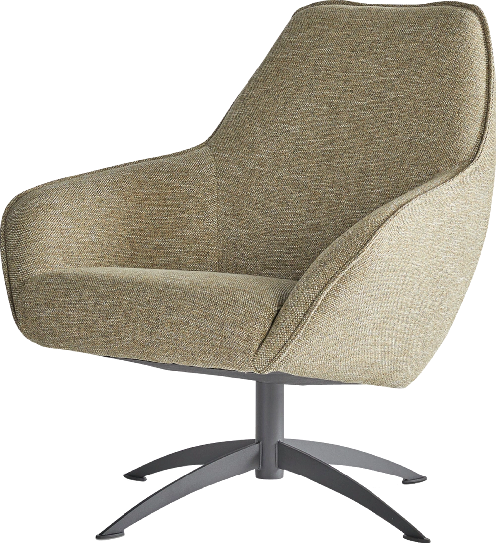 Fauteuil Faas Dyyk 2